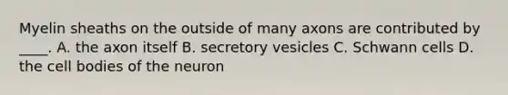 Myelin sheaths on the outside of many axons are contributed by ____. A. the axon itself B. secretory vesicles C. Schwann cells D. the cell bodies of the neuron