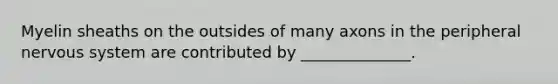 Myelin sheaths on the outsides of many axons in the peripheral nervous system are contributed by ______________.