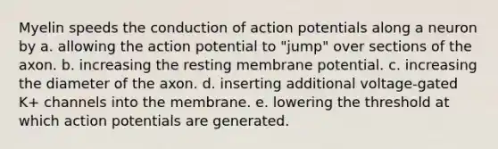 Myelin speeds the conduction of action potentials along a neuron by a. allowing the action potential to "jump" over sections of the axon. b. increasing the resting membrane potential. c. increasing the diameter of the axon. d. inserting additional voltage-gated K+ channels into the membrane. e. lowering the threshold at which action potentials are generated.