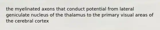 the myelinated axons that conduct potential from lateral geniculate nucleus of the thalamus to the primary visual areas of the cerebral cortex
