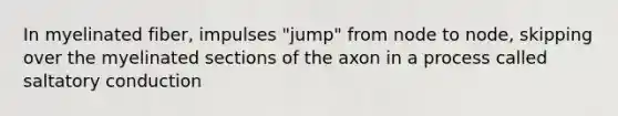 ​In myelinated fiber, impulses "jump" from node to node, skipping over the myelinated sections of the axon in a process called saltatory conduction