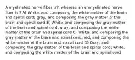 A myelinated nerve fiber is?, whereas an unmyelinated nerve fiber is ? A) White, and composing the white matter of the brain and spinal cord; gray, and composing the gray matter of the brain and spinal cord B) White, and composing the gray matter of the brain and spinal cord; gray, and composing the white matter of the brain and spinal cord C) White, and composing the gray matter of the brain and spinal cord; red, and composing the white matter of the brain and spinal cord D) Gray, and composing the gray matter of the brain and spinal cord; white, and composing the white matter of the brain and spinal cord