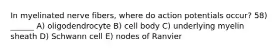 In myelinated nerve fibers, where do action potentials occur? 58) ______ A) oligodendrocyte B) cell body C) underlying myelin sheath D) Schwann cell E) nodes of Ranvier