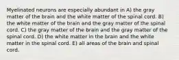 Myelinated neurons are especially abundant in A) the gray matter of the brain and the white matter of the spinal cord. B) the white matter of the brain and the gray matter of the spinal cord. C) the gray matter of the brain and the gray matter of the spinal cord. D) the white matter in the brain and the white matter in the spinal cord. E) all areas of the brain and spinal cord.