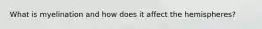 What is myelination and how does it affect the hemispheres?