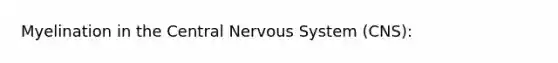 Myelination in the Central Nervous System (CNS):