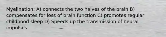 Myelination: A) connects the two halves of the brain B) compensates for loss of brain function C) promotes regular childhood sleep D) Speeds up the transmission of neural impulses