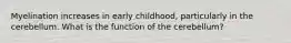 Myelination increases in early childhood, particularly in the cerebellum. What is the function of the cerebellum?