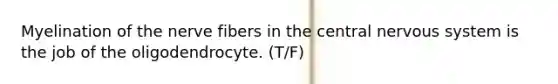 Myelination of the nerve fibers in the central <a href='https://www.questionai.com/knowledge/kThdVqrsqy-nervous-system' class='anchor-knowledge'>nervous system</a> is the job of the oligodendrocyte. (T/F)