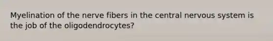 Myelination of the nerve fibers in the <a href='https://www.questionai.com/knowledge/kMmgwYXzPv-central-nervous-system' class='anchor-knowledge'>central nervous system</a> is the job of the oligodendrocytes?