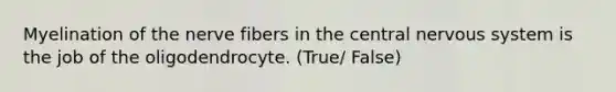 Myelination of the nerve fibers in the central nervous system is the job of the oligodendrocyte. (True/ False)