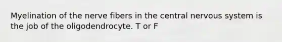 Myelination of the nerve fibers in the central nervous system is the job of the oligodendrocyte. T or F