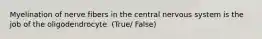 Myelination of nerve fibers in the central nervous system is the job of the oligodendrocyte. (True/ False)