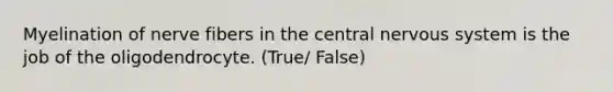 Myelination of nerve fibers in the central nervous system is the job of the oligodendrocyte. (True/ False)