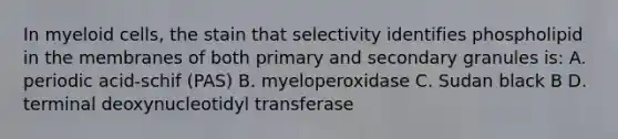 In myeloid cells, the stain that selectivity identifies phospholipid in the membranes of both primary and secondary granules is: A. periodic acid-schif (PAS) B. myeloperoxidase C. Sudan black B D. terminal deoxynucleotidyl transferase