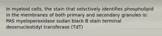 In myeloid cells, the stain that selsctively identifies phospholipid in the membranes of both primary and secondary granules is: PAS myeloperoxidase sudan black B stain terminal deoxnucleotidyl transferase (TdT)