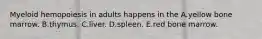 Myeloid hemopoiesis in adults happens in the A.yellow bone marrow. B.thymus. C.liver. D.spleen. E.red bone marrow.