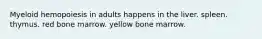 Myeloid hemopoiesis in adults happens in the liver. spleen. thymus. red bone marrow. yellow bone marrow.