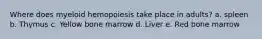 Where does myeloid hemopoiesis take place in adults? a. spleen b. Thymus c. Yellow bone marrow d. Liver e. Red bone marrow
