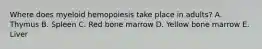 Where does myeloid hemopoiesis take place in adults? A. Thymus B. Spleen C. Red bone marrow D. Yellow bone marrow E. Liver