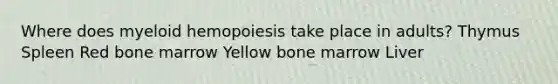 Where does myeloid hemopoiesis take place in adults? Thymus Spleen Red bone marrow Yellow bone marrow Liver