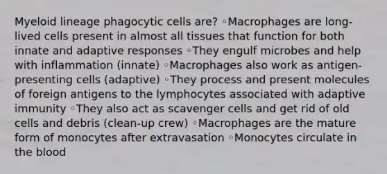 Myeloid lineage phagocytic cells are? ◦Macrophages are long-lived cells present in almost all tissues that function for both innate and adaptive responses ◦They engulf microbes and help with inflammation (innate) ◦Macrophages also work as antigen-presenting cells (adaptive) ◦They process and present molecules of foreign antigens to the lymphocytes associated with adaptive immunity ◦They also act as scavenger cells and get rid of old cells and debris (clean-up crew) ◦Macrophages are the mature form of monocytes after extravasation ◦Monocytes circulate in the blood