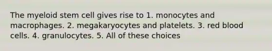 The myeloid stem cell gives rise to 1. monocytes and macrophages. 2. megakaryocytes and platelets. 3. red blood cells. 4. granulocytes. 5. All of these choices