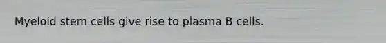 Myeloid stem cells give rise to plasma B cells.