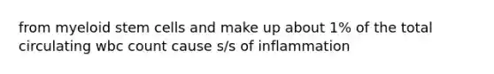 from myeloid stem cells and make up about 1% of the total circulating wbc count cause s/s of inflammation