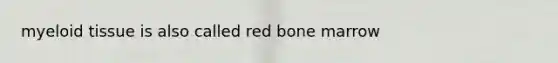 myeloid tissue is also called red bone marrow