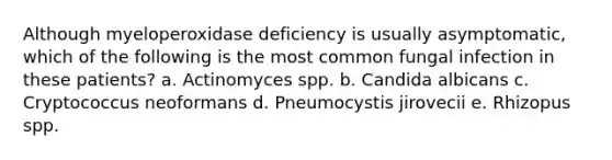 Although myeloperoxidase deficiency is usually asymptomatic, which of the following is the most common fungal infection in these patients? a. Actinomyces spp. b. Candida albicans c. Cryptococcus neoformans d. Pneumocystis jirovecii e. Rhizopus spp.