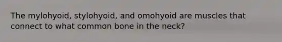 The mylohyoid, stylohyoid, and omohyoid are muscles that connect to what common bone in the neck?