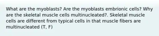 What are the myoblasts? Are the myoblasts embrionic cells? Why are the skeletal muscle cells multinucleated?. Skeletal muscle cells are different from typical cells in that muscle fibers are multinucleated (T, F)