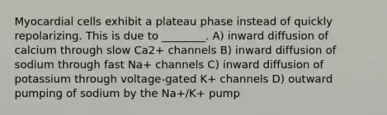 Myocardial cells exhibit a plateau phase instead of quickly repolarizing. This is due to ________. A) inward diffusion of calcium through slow Ca2+ channels B) inward diffusion of sodium through fast Na+ channels C) inward diffusion of potassium through voltage-gated K+ channels D) outward pumping of sodium by the Na+/K+ pump