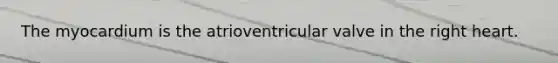 The myocardium is the atrioventricular valve in the right heart.