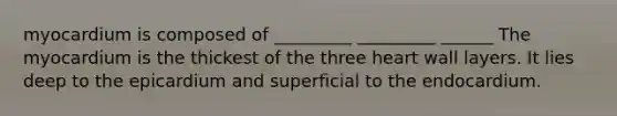 myocardium is composed of _________ _________ ______ The myocardium is the thickest of the three heart wall layers. It lies deep to the epicardium and superficial to the endocardium.