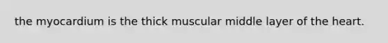 the myocardium is the thick muscular middle layer of the heart.