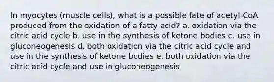 In myocytes (muscle cells), what is a possible fate of acetyl-CoA produced from the oxidation of a fatty acid? a. oxidation via the citric acid cycle b. use in the synthesis of ketone bodies c. use in gluconeogenesis d. both oxidation via the citric acid cycle and use in the synthesis of ketone bodies e. both oxidation via the citric acid cycle and use in gluconeogenesis