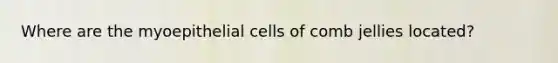 Where are the myoepithelial cells of comb jellies located?