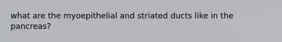 what are the myoepithelial and striated ducts like in the pancreas?