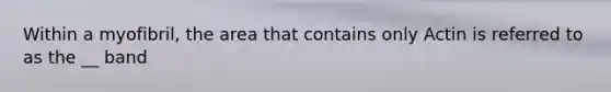 Within a myofibril, the area that contains only Actin is referred to as the __ band