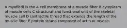 A myofibril is the A cell membrane of a muscle fiber B cytoplasm of muscle cells C structural and functional unit of the skeletal muscle cell D contractile thread that extends the length of the muscle fiber E protein strand composed of actin or myosin