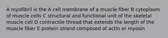 A myofibril is the A cell membrane of a muscle fiber B cytoplasm of muscle cells C structural and functional unit of the skeletal muscle cell D contractile thread that extends the length of the muscle fiber E protein strand composed of actin or myosin