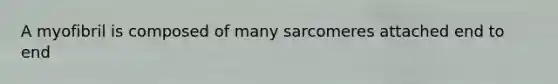 A myofibril is composed of many sarcomeres attached end to end
