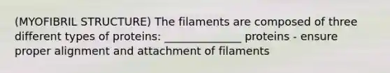 (MYOFIBRIL STRUCTURE) The filaments are composed of three different types of proteins: ______________ proteins - ensure proper alignment and attachment of filaments