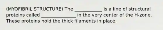 (MYOFIBRIL STRUCTURE) The ____________ is a line of structural proteins called _______________ in the very center of the H-zone. These proteins hold the thick filaments in place.