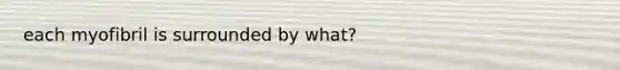 each myofibril is surrounded by what?