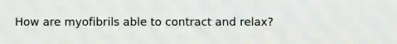 How are myofibrils able to contract and relax?