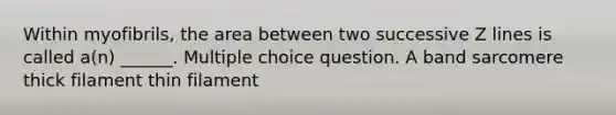 Within myofibrils, the area between two successive Z lines is called a(n) ______. Multiple choice question. A band sarcomere thick filament thin filament