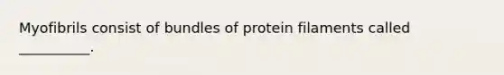 Myofibrils consist of bundles of protein filaments called __________.